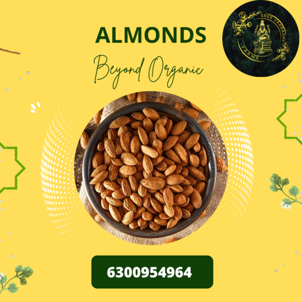 Almonds from Wild Forest