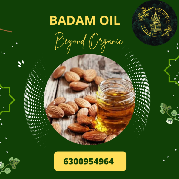Almond Oil - Badam Oil from Wild Forest