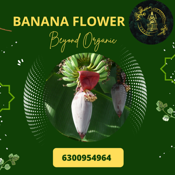 Banana Flower from Wild Forest
