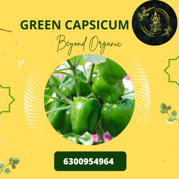 Green Capsicum from Wild Forest