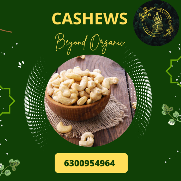 Cashews from Wild Forest