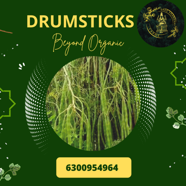 Drumsticks - Mulakkada from Wild Forest