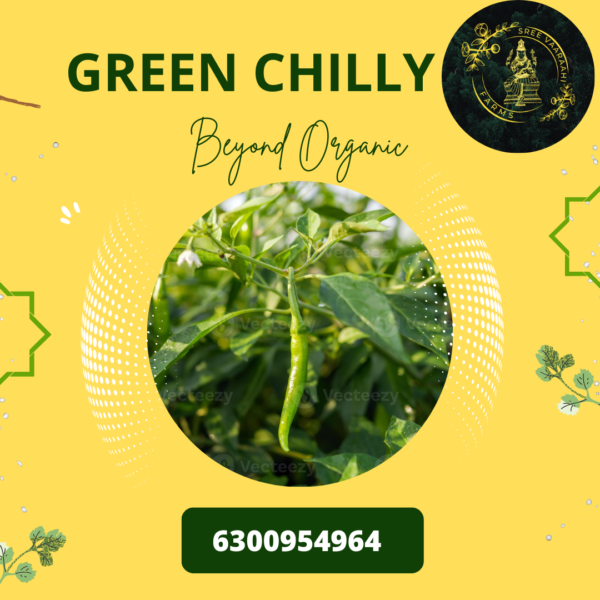 Green Chilly from Wild Forest