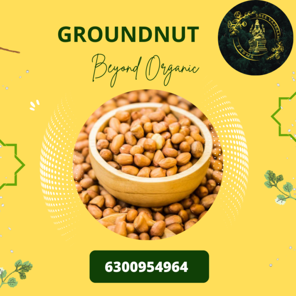 Groundnut / Pallilu