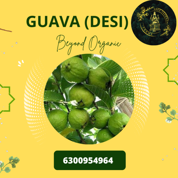 Guava Desi from Wild Forest