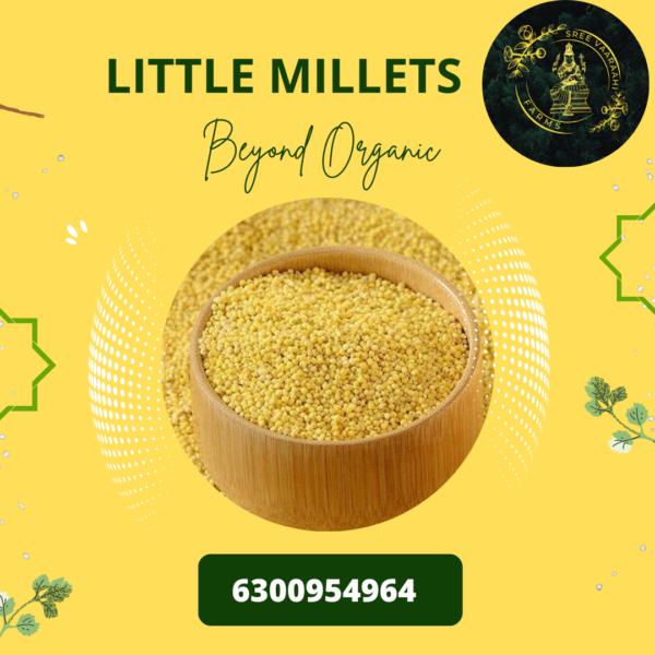 Little Millets from Wild Forest
