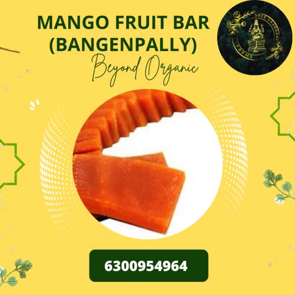 Mango Fruit Bar - Bangenapally from Wild Forest