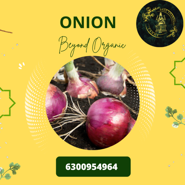 Onion from Wild Forest