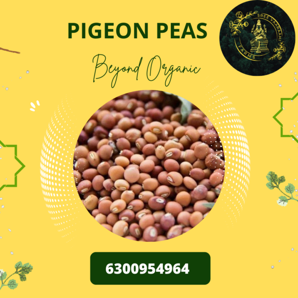 Pigeon Peas, Kandulu, Toor Dal from Wild Forest
