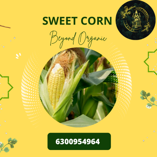 Sweet Corn - From Wild Forest