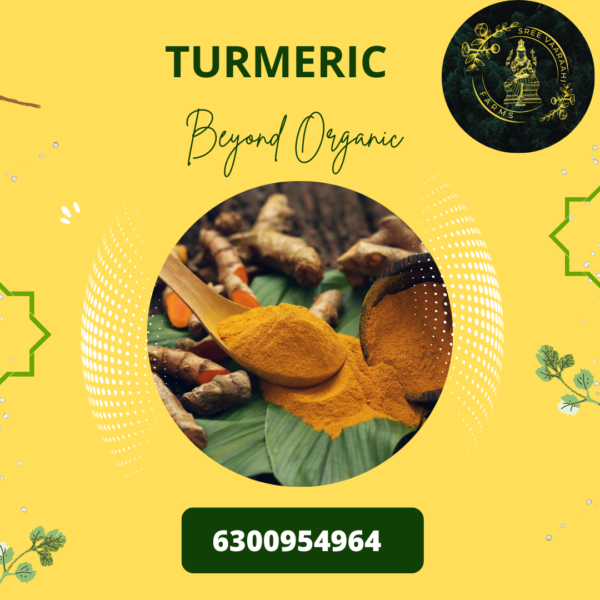 Turmeric from Wild Forest